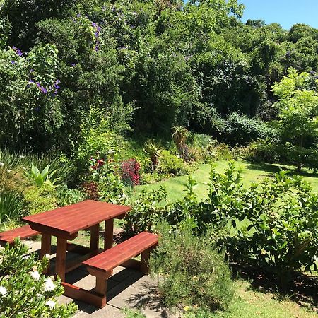 Loeriewood Garden Apartment, Hunters Home كنيسنا المظهر الخارجي الصورة