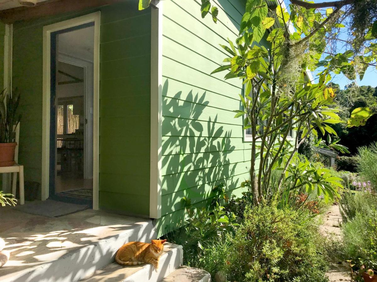 Loeriewood Garden Apartment, Hunters Home كنيسنا المظهر الخارجي الصورة